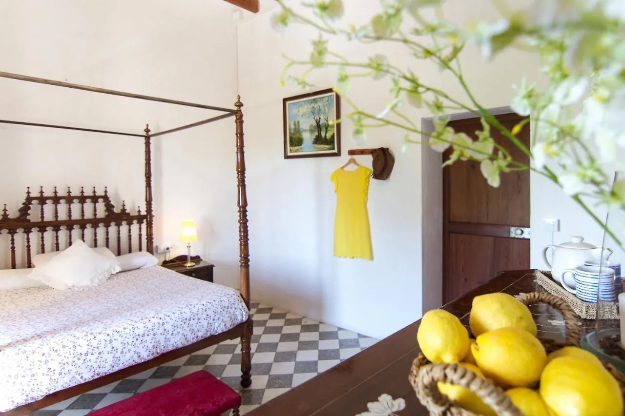 Farm stay Agroturismo Son Sant Andreu Villa Petra