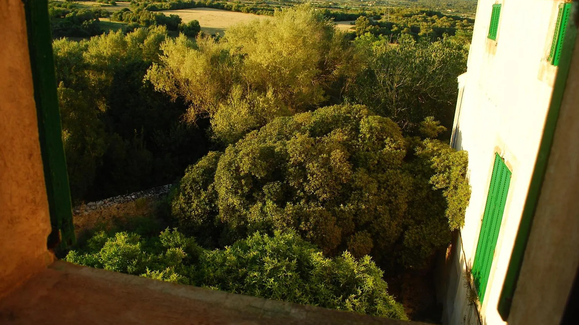 Villa Agroturismo Son Sant Andreu Petra  Bauernhof Petra (Mallorca)