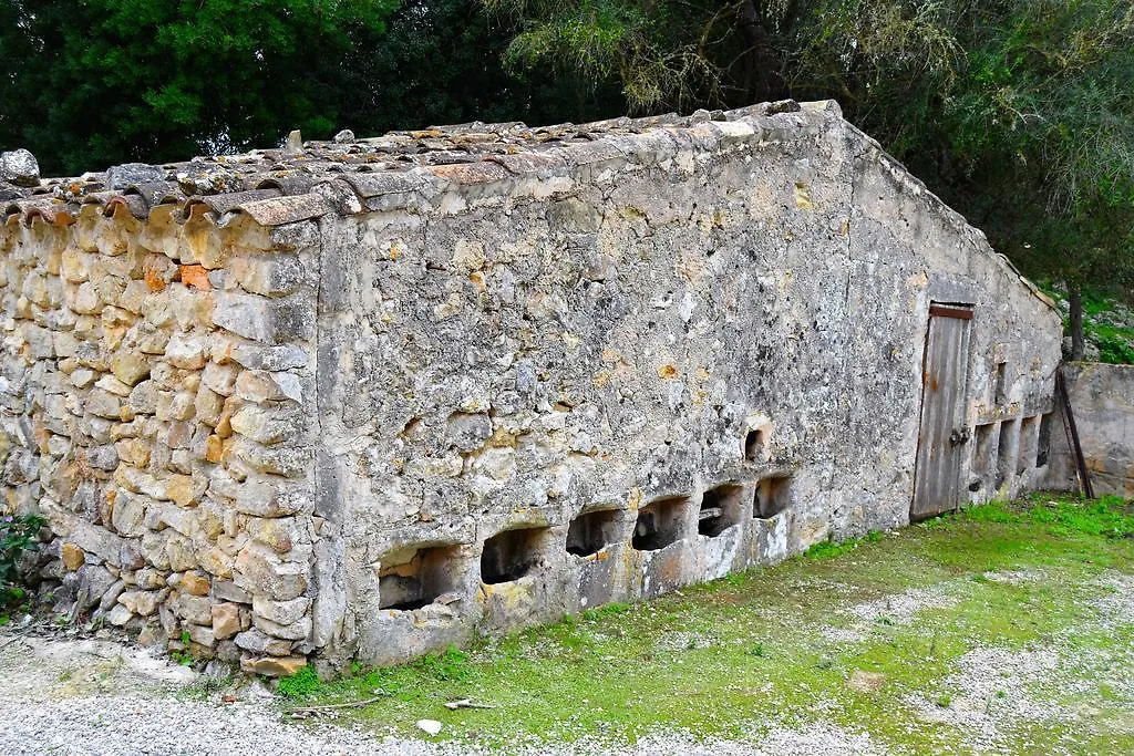 Vakantieboerderij Agroturismo Son Sant Andreu Villa Petra