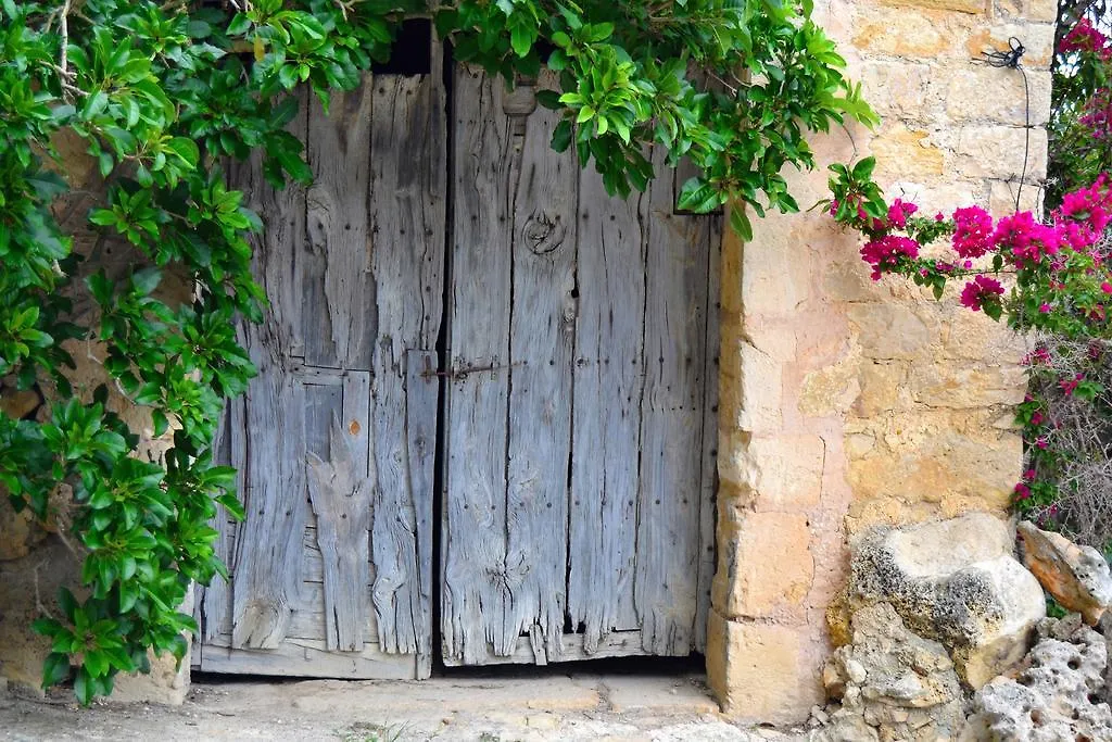 Vakantieboerderij Agroturismo Son Sant Andreu Villa Petra